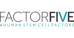 FactorFive